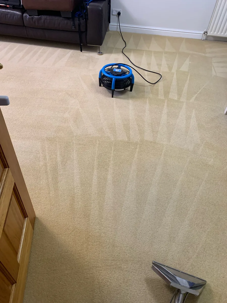 Carpet cleaning in Crowle by W.M Carpet Cleaning Services