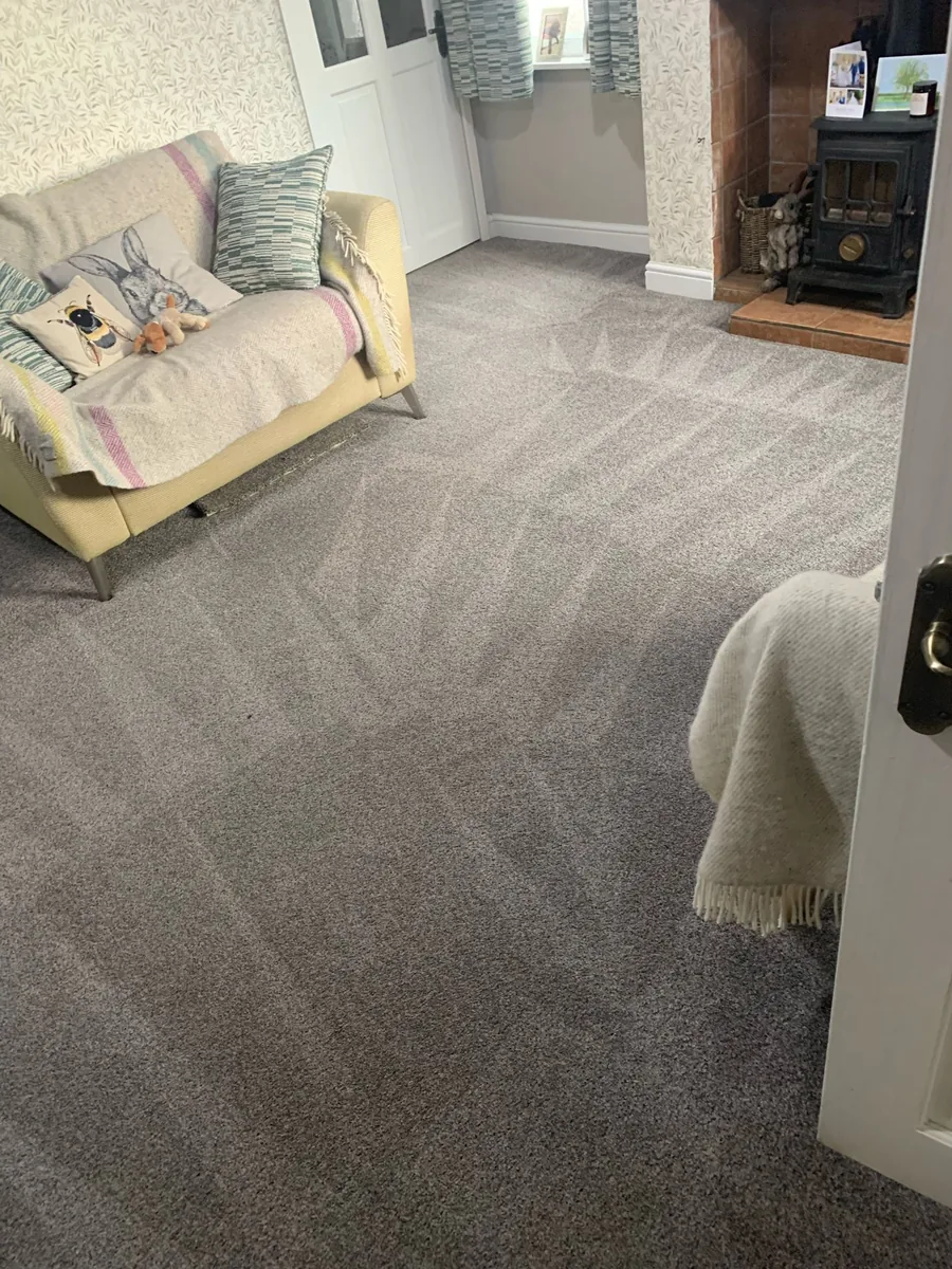 Carpet cleaning in Goole by W.M Carpet Cleaning Services