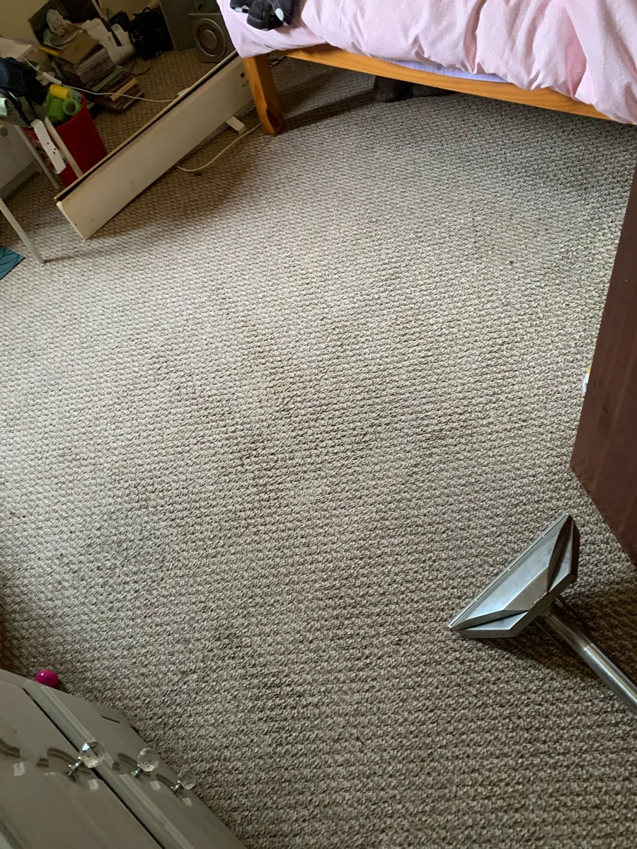 Carpet after cleaning in North Lincolnshire by W.M Carpet Cleaning Services