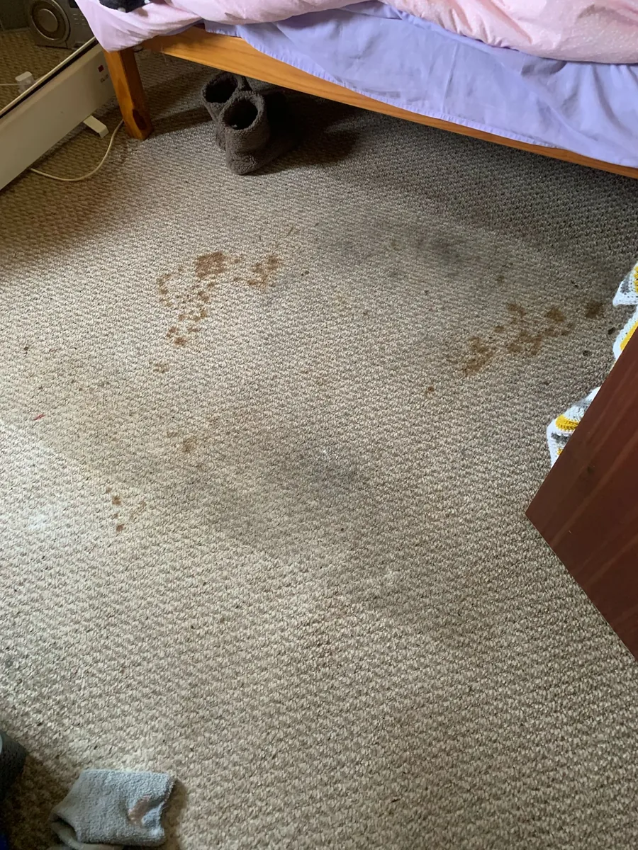 Carpet before cleaning in North Lincolnshire by W.M Carpet Cleaning Services