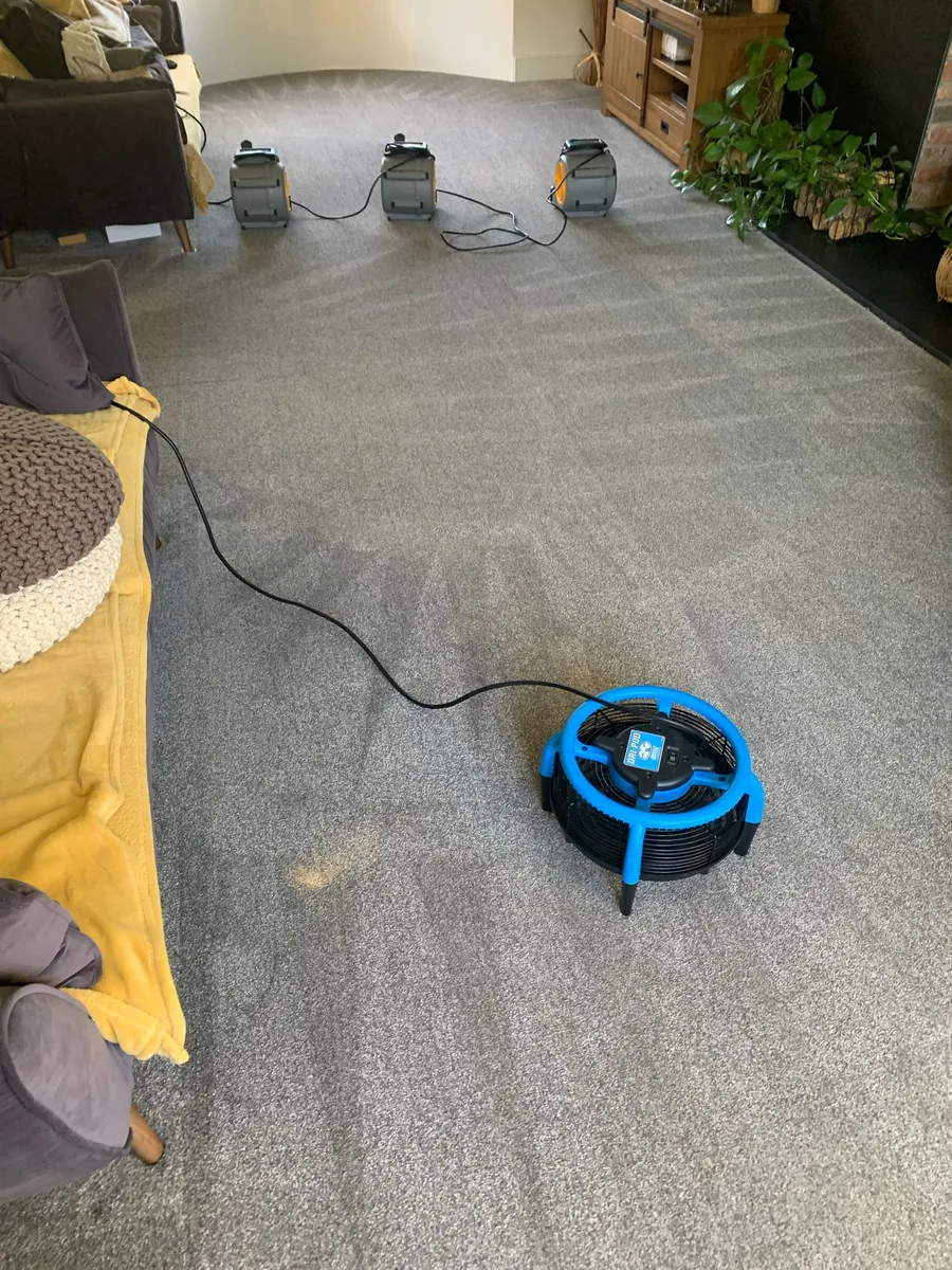 Carpet cleaning across North Lincolnshire by W.M Carpet Cleaning Services