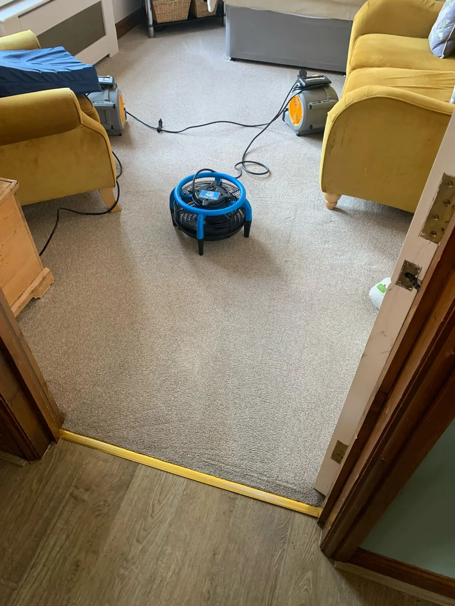 Carpet after cleaning in Scunthorpe by W.M Carpet Cleaning Services