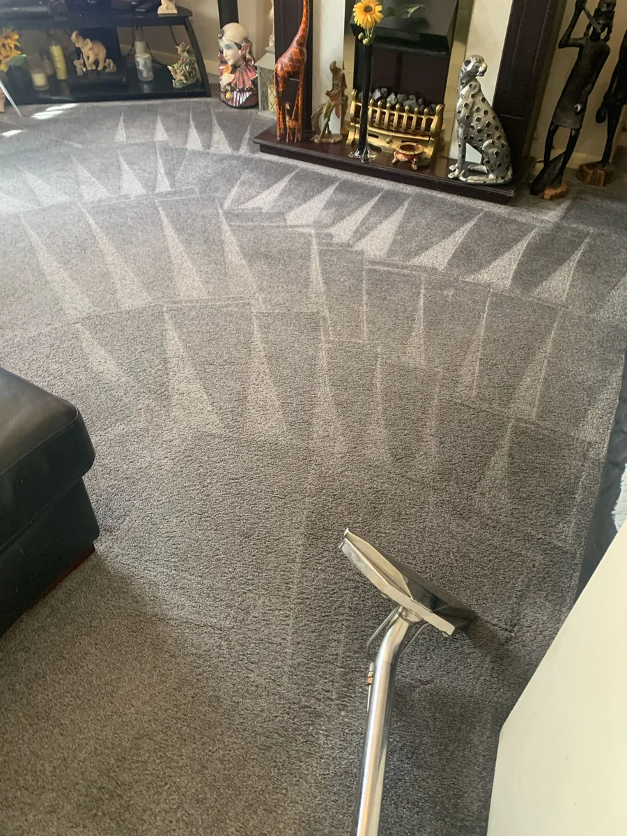 Professional carpet cleaning in Scunthorpe by W.M Carpet Cleaning Services